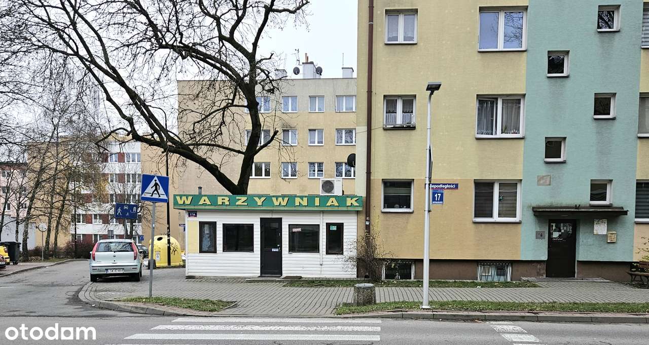 Lokal usługowy 25 m² | ul. Niepodległości | Parter |Główny ciąg pieszy - Pełny obrazek: 4/4