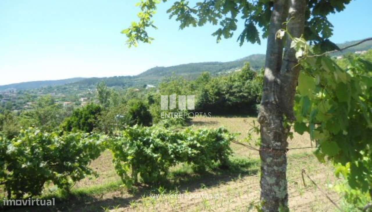 Venda Terreno, Nespereira, Cinfães - Grande imagem: 5/30