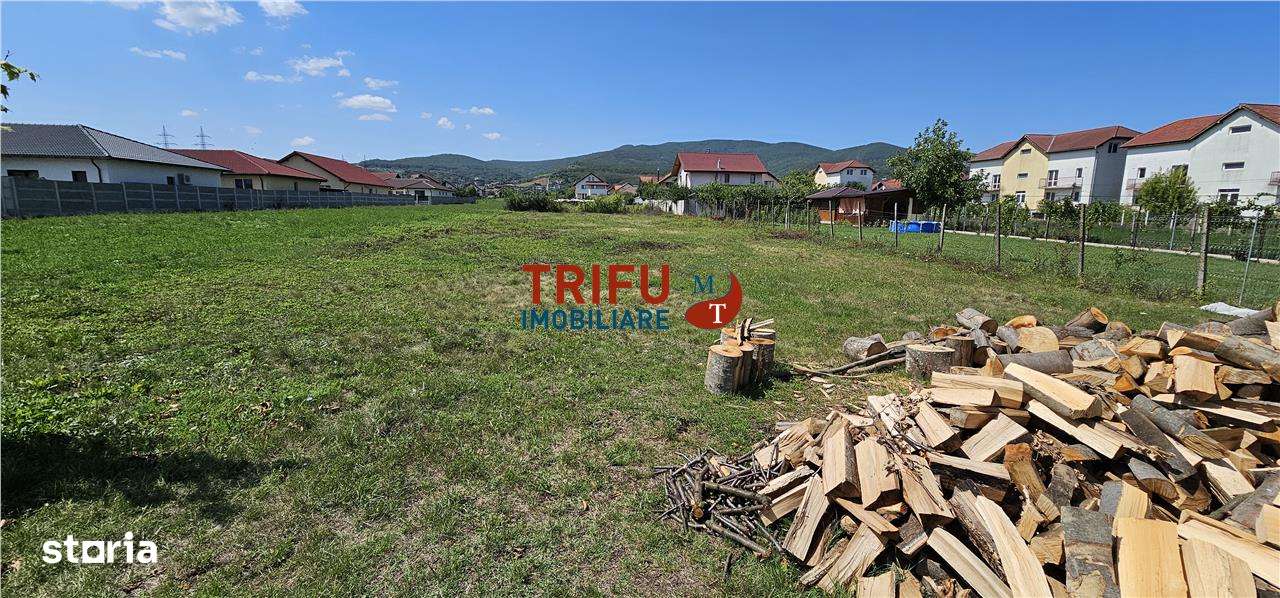 Teren de vanzare Alba Micesti, 1200 mp - Imagine principală: 1/7