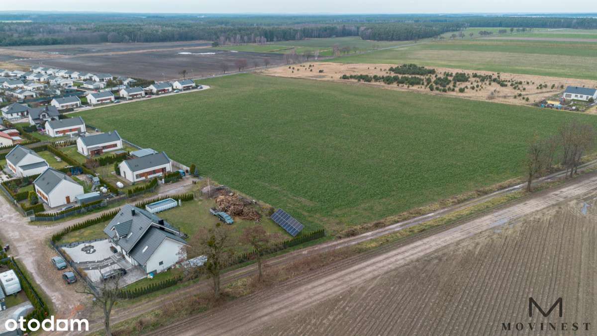 Luciny: zielone obrzeża Śremu, działki na sprzedaż - Pełny obrazek: 4/6