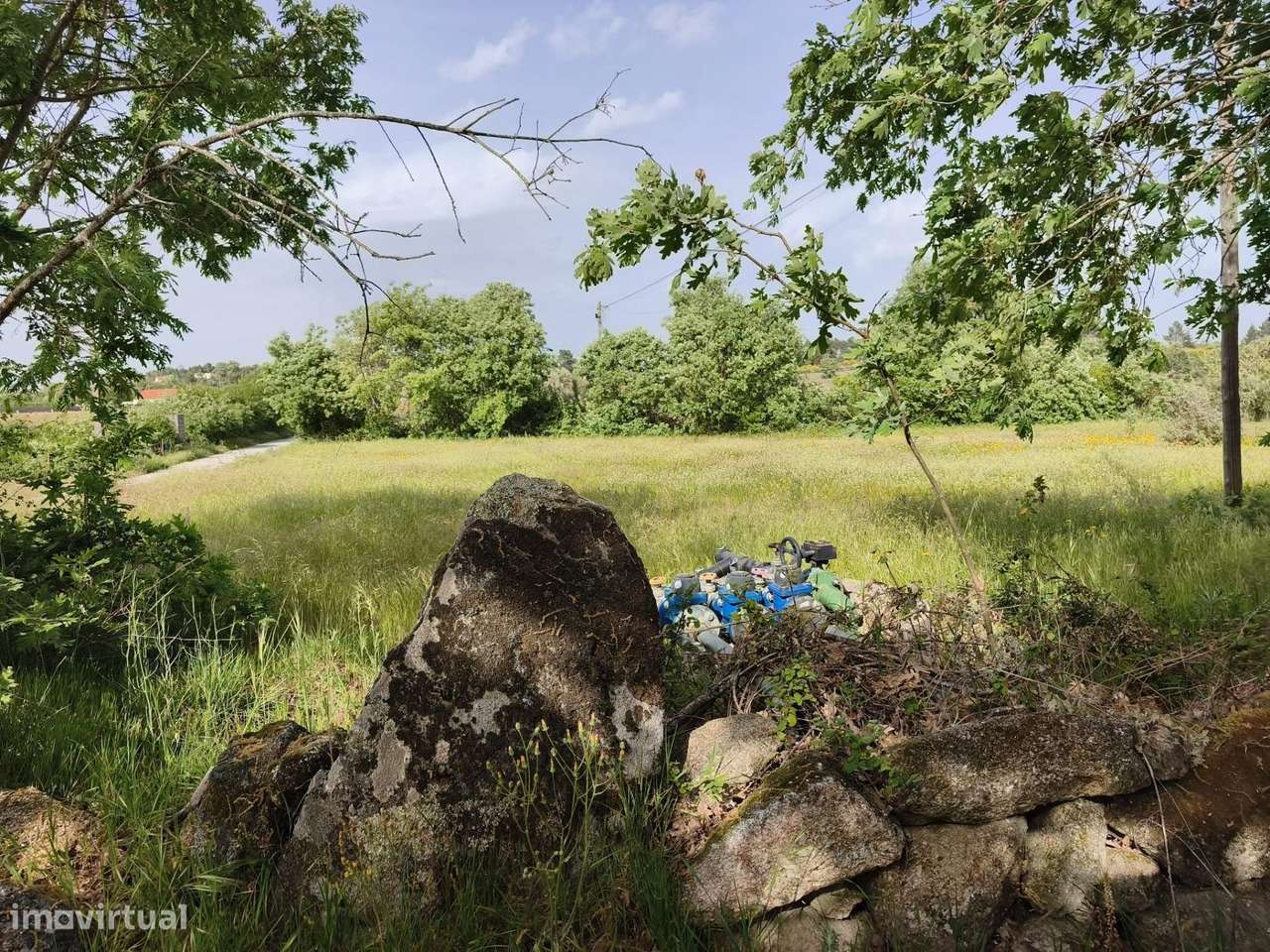 Terreno rustico em castanheira de baixo Peraboa-8