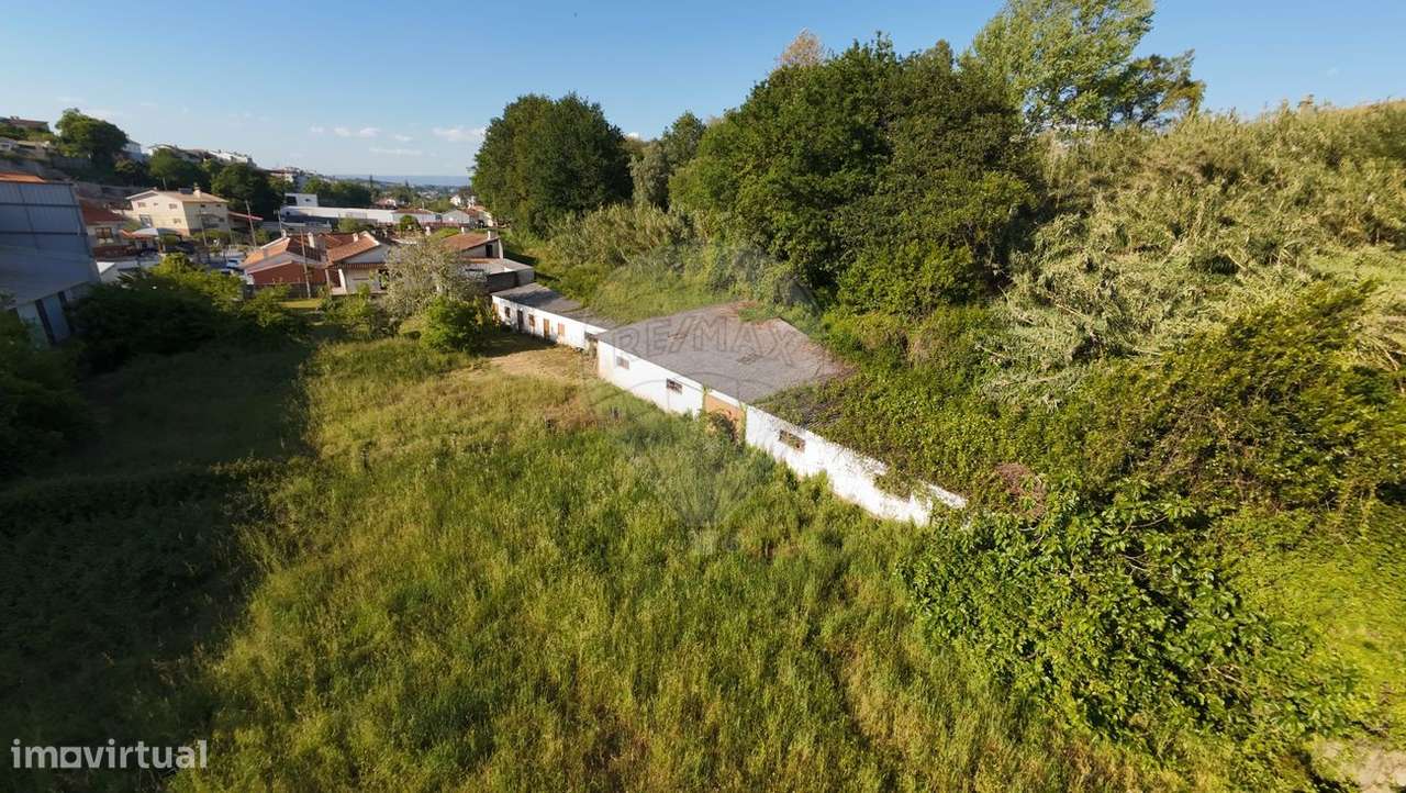 Quinta  para venda-19