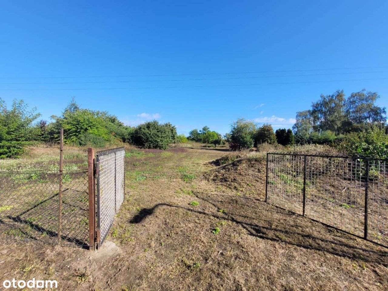 Sprzedam działkę w Chludowie-6