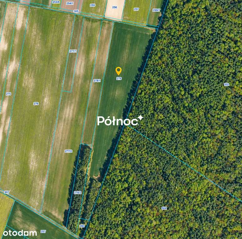 3,71 ha ziemi rolnej  część zalesiona | Depułtycze Królewskie-1