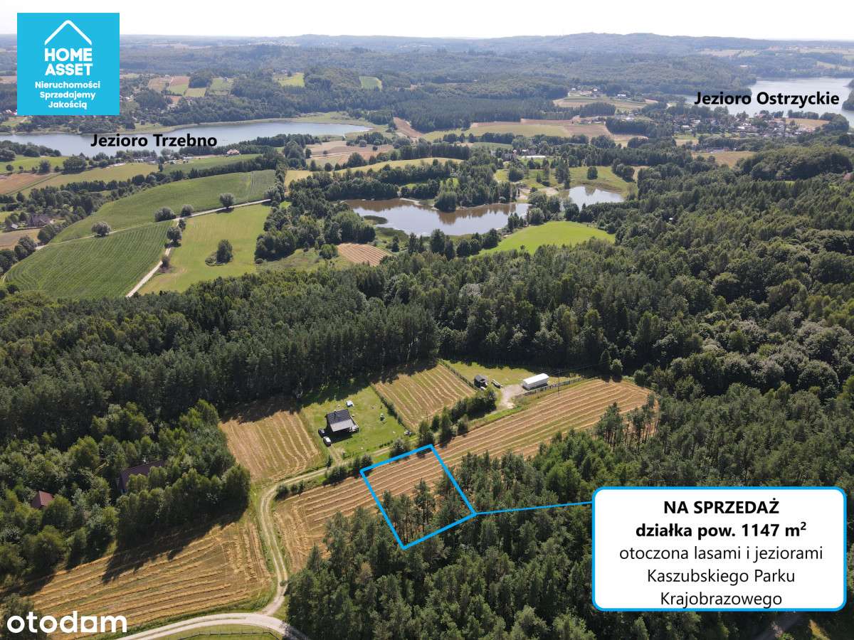 Kaszuby • Piękna działka pod dom lub letnisko - Pełny obrazek: 5/12