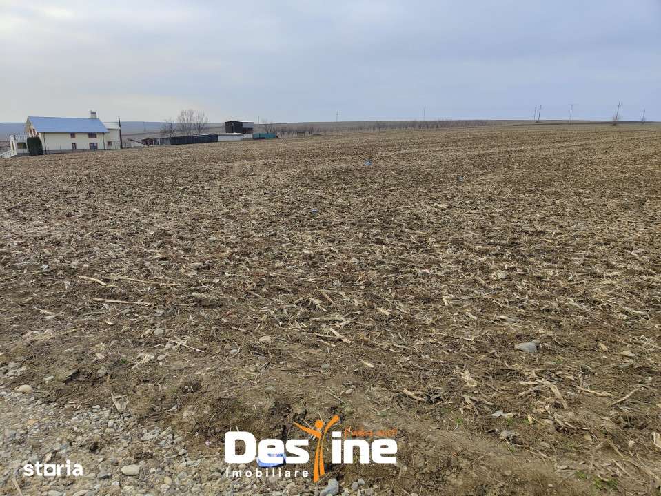 Comision 0% - Teren Primarie Dumesti, 8100 mp, front 13 ml, - Imagine principală: 3/5