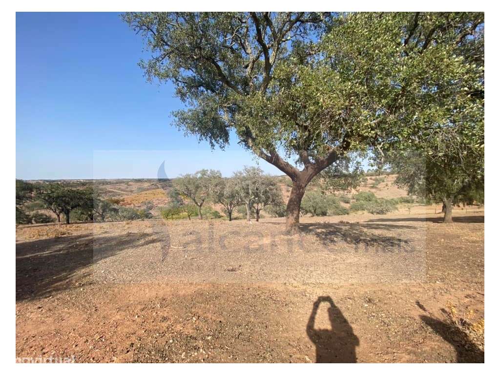 Propriedade de 35 ha - com Monte em Ruínas em Serpa-17