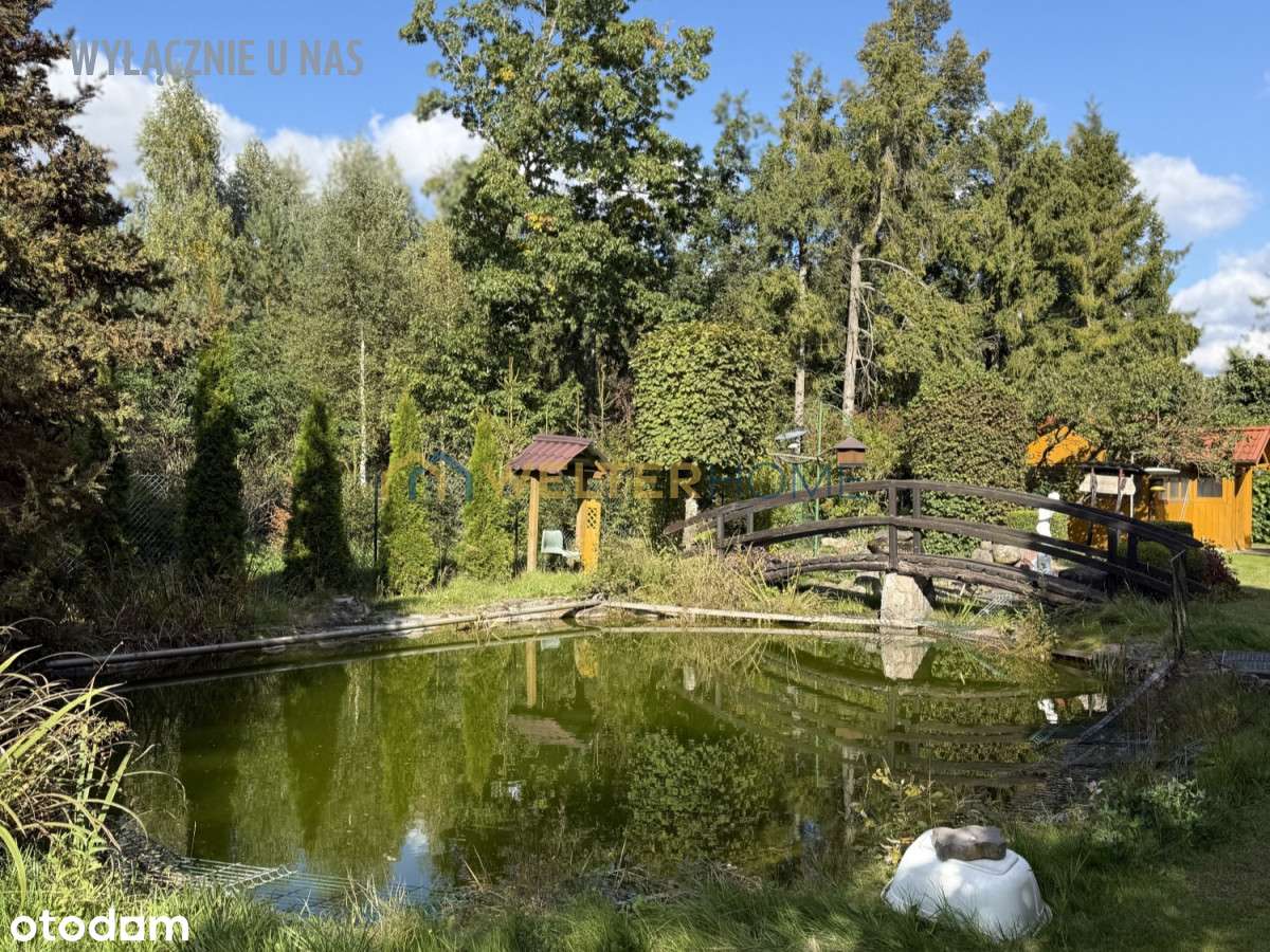 Nieruchomość w otulinie zieleni i lasu-9