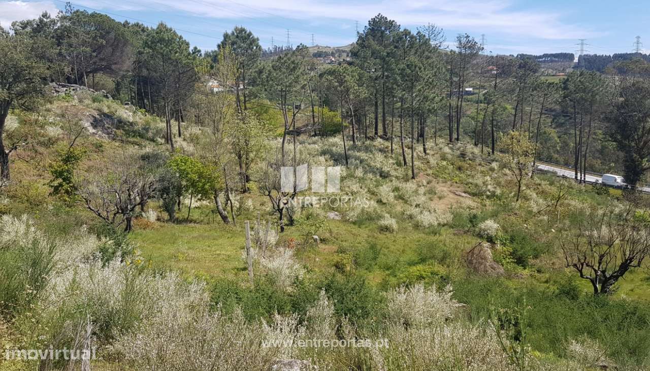 Venda Terreno, Soalhães, Marco de Canaveses - Grande imagem: 3/6