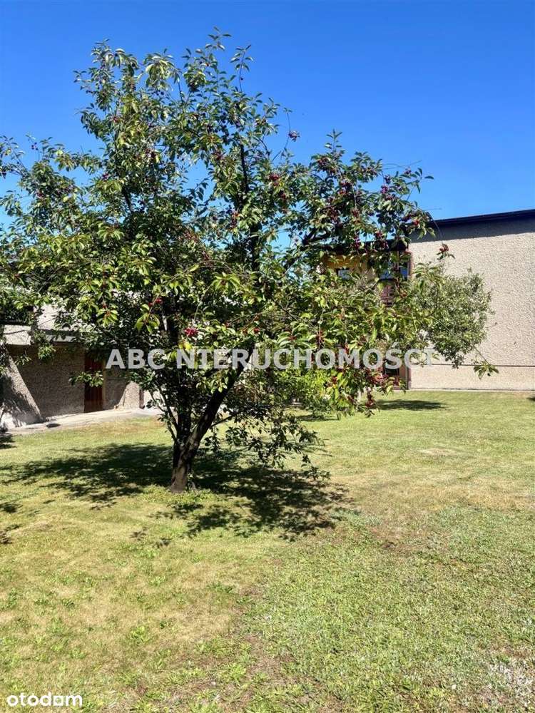 Solidny rodzinny dom z potencjałem- Rybnik Centrum - Pełny obrazek: 4/20