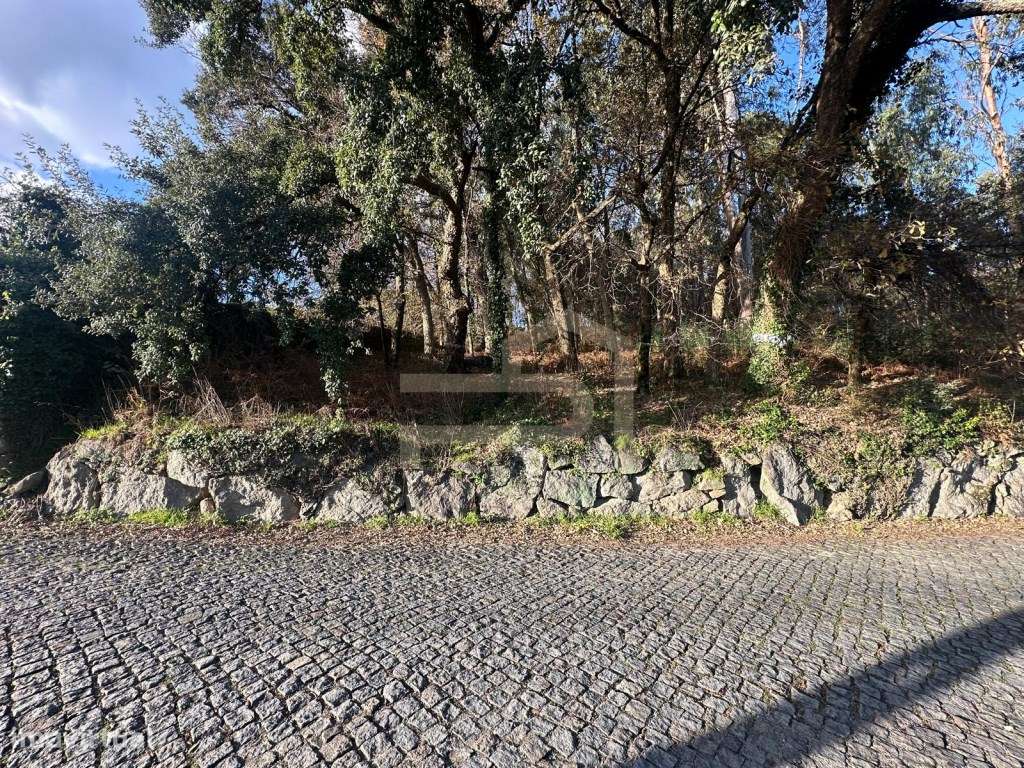 Vende-se terreno de construção com 7.000 m2.-5