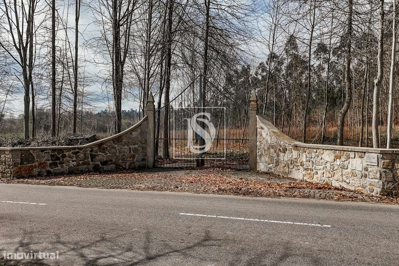 Terreno Rústico  Venda em Associação de freguesias do Vale do Neiva,Po-29