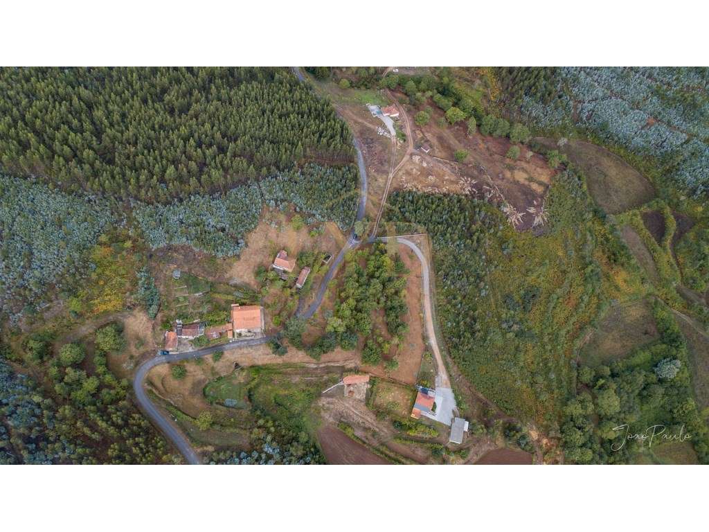 Quinta em Nogueira Paraíso Castelo de Paiva-12