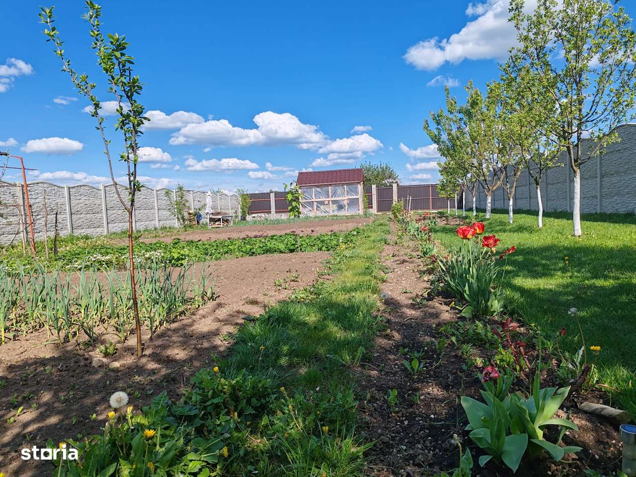 Lot pentru  casă - Imagine principală: 5/5