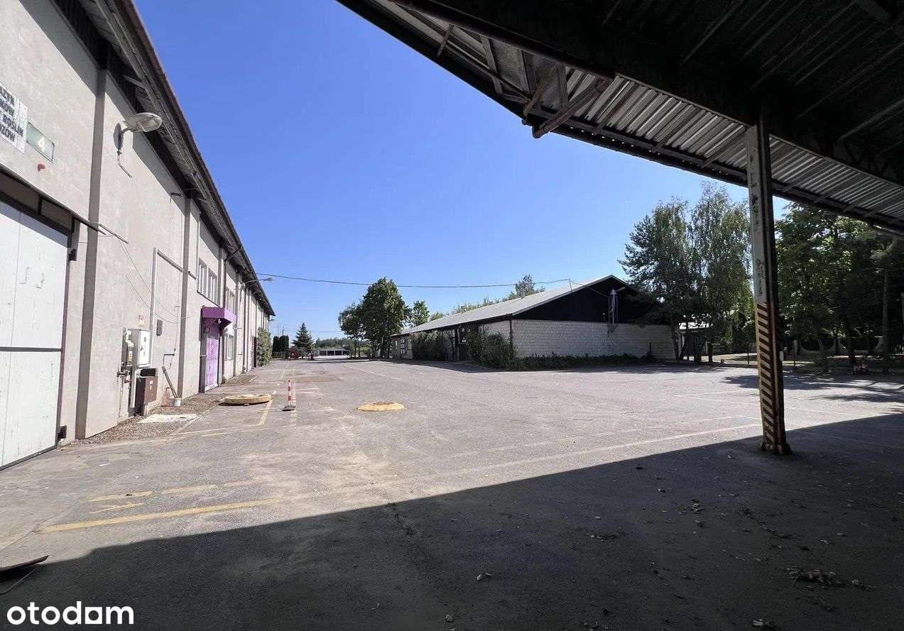 Hale magazynowe 25zł m2 powierzchnia łączna 2.500 - Pełny obrazek: 4/19