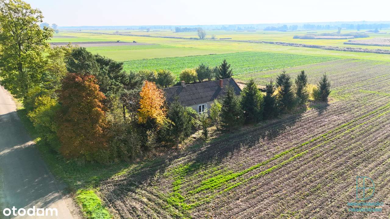 Działka z potencjałem wśród pól i zieleni – Gosławice, 2045 m²-5