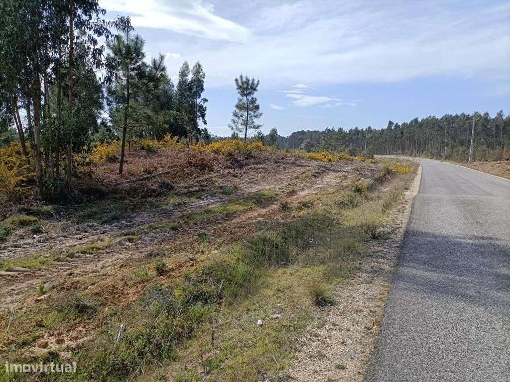Terreno Serra do Bouro-Caldas da Rainha - Grande imagem: 5/11