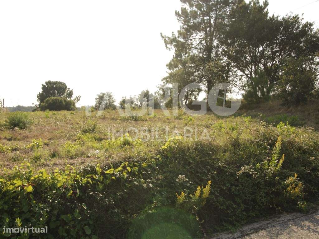 Terreno urbano para construção, Maceira, Leiria - Grande imagem: 4/4