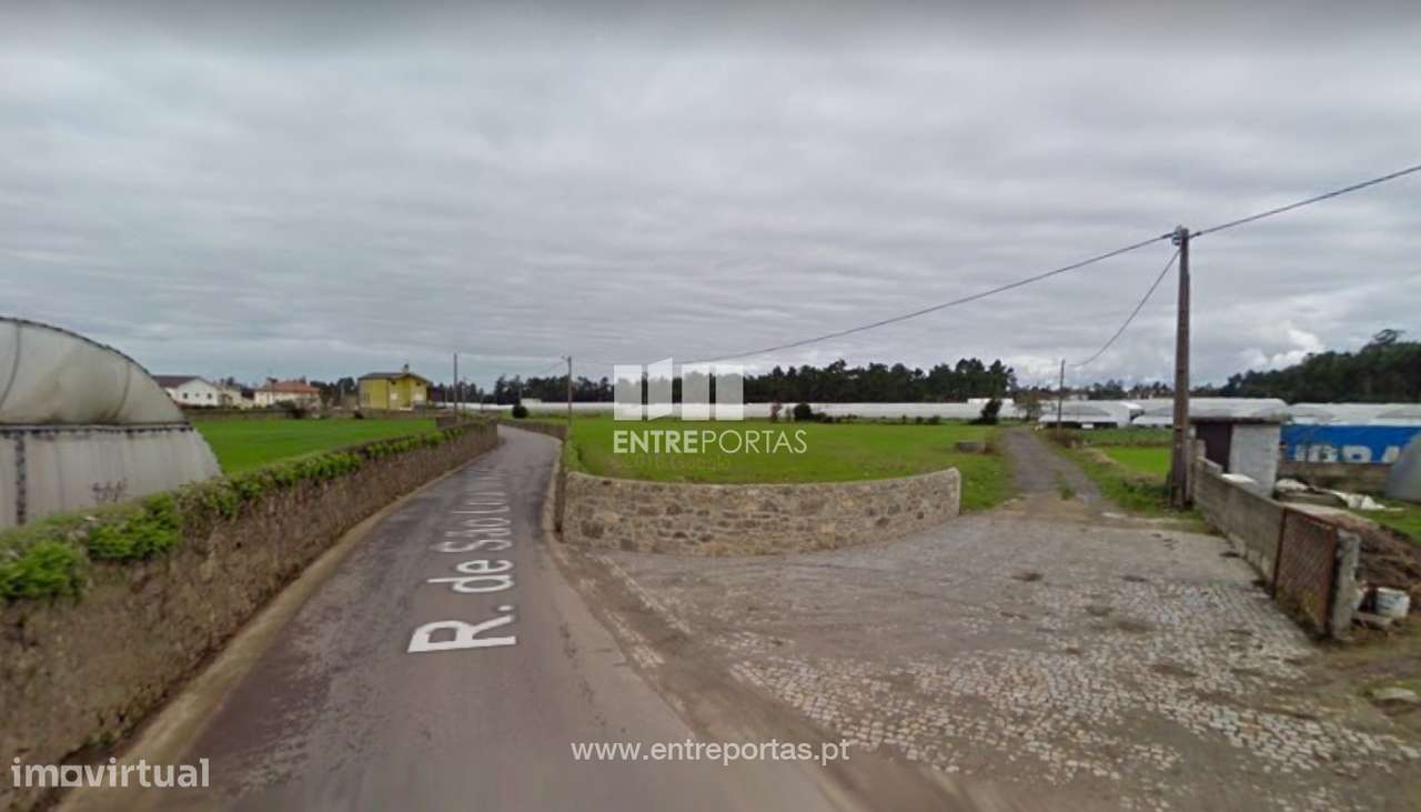 Venda de Terreno Agrícola com 5240 m2, Terroso - Grande imagem: 5/15