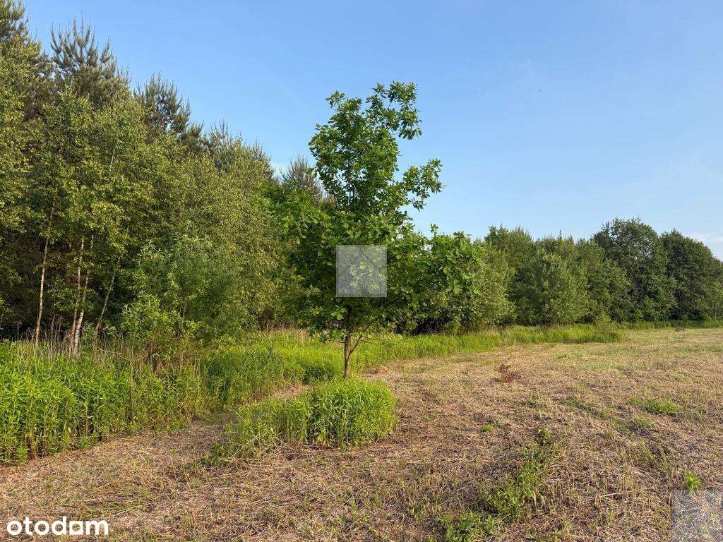 Działka rekreacyjna | WZ | Cienkie-7