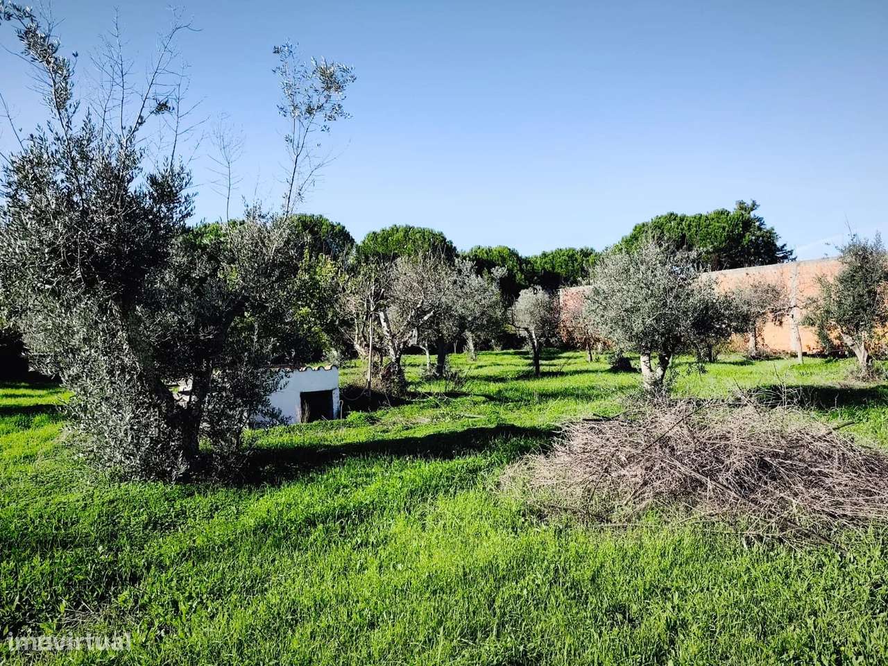 Terreno - Grande imagem: 5/14