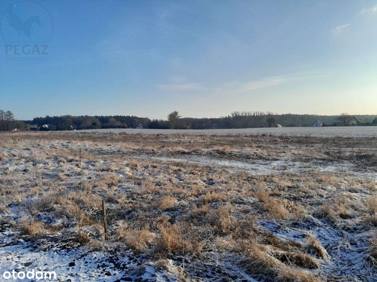 Urokliwe działki budowlane w Kuźniku pod lasem.-3