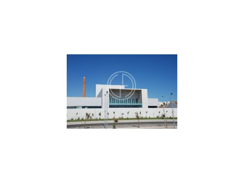 Terreno com projecto aprovado para Turismo Rural, Estômbar - Grande imagem: 4/13