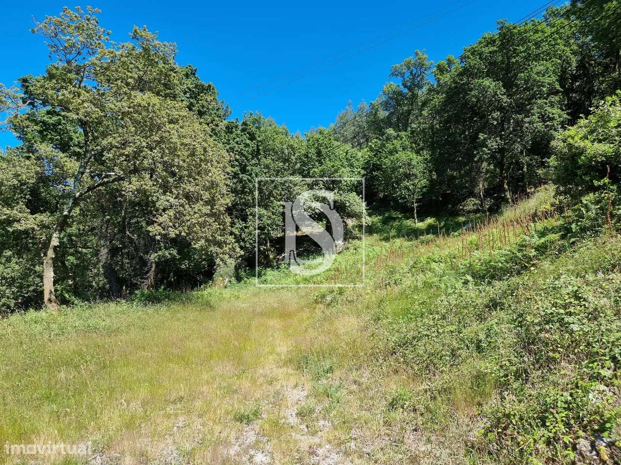 Terreno  Venda em Ventosa e Cova,Vieira do Minho - Grande imagem: 2/30