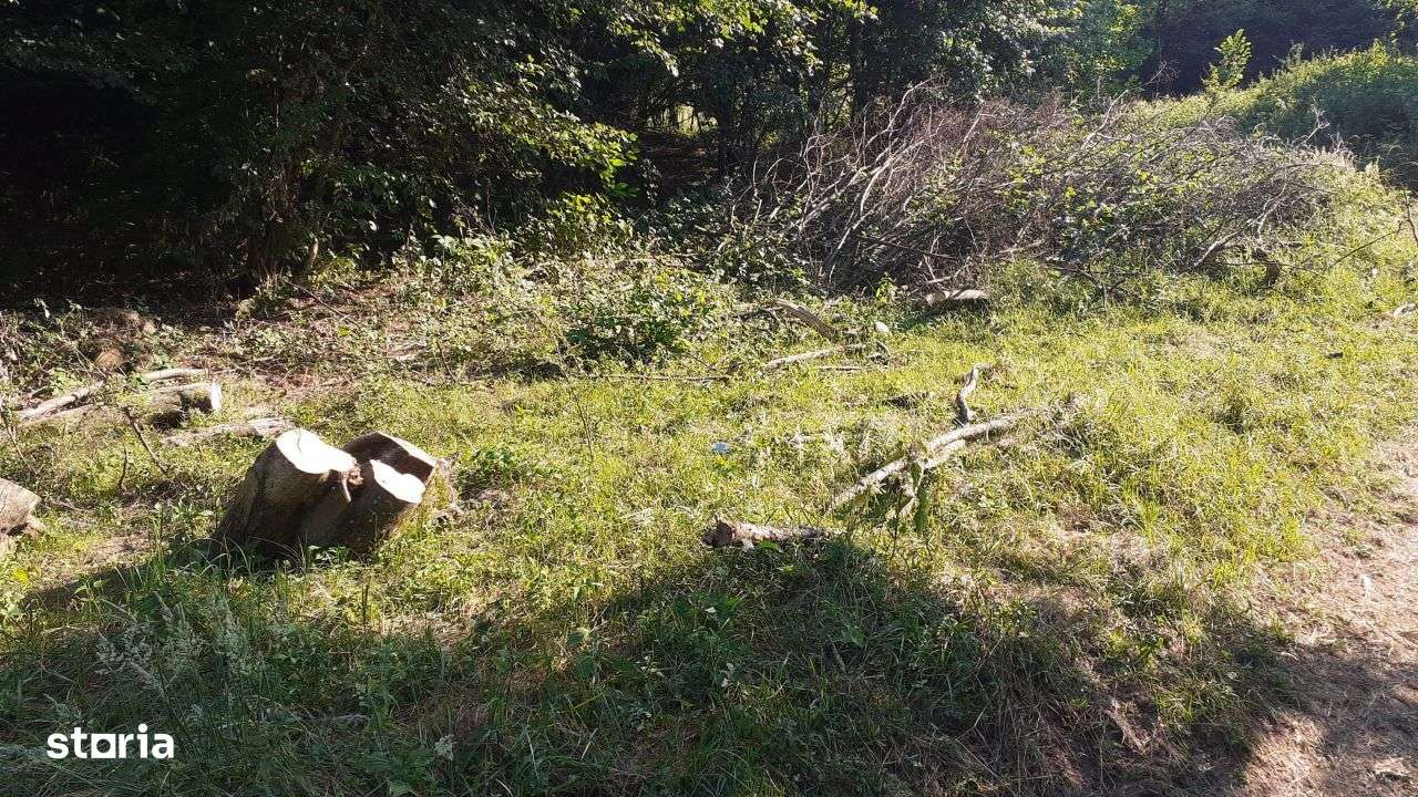 Roscani-Dobra-Teren Cabana-10km A1-Posibilitate Rate - Imagine principală: 2/8