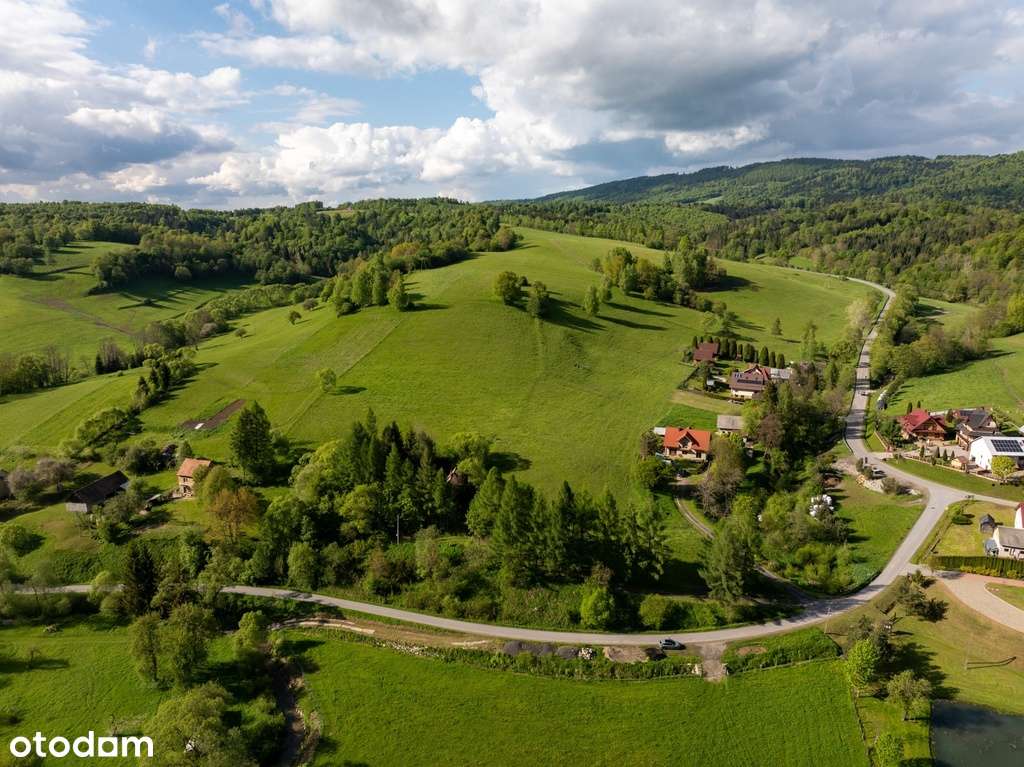 Widokowy grunt inwestycyjny 50101 m2 - Bieszczady - Pełny obrazek: 4/20