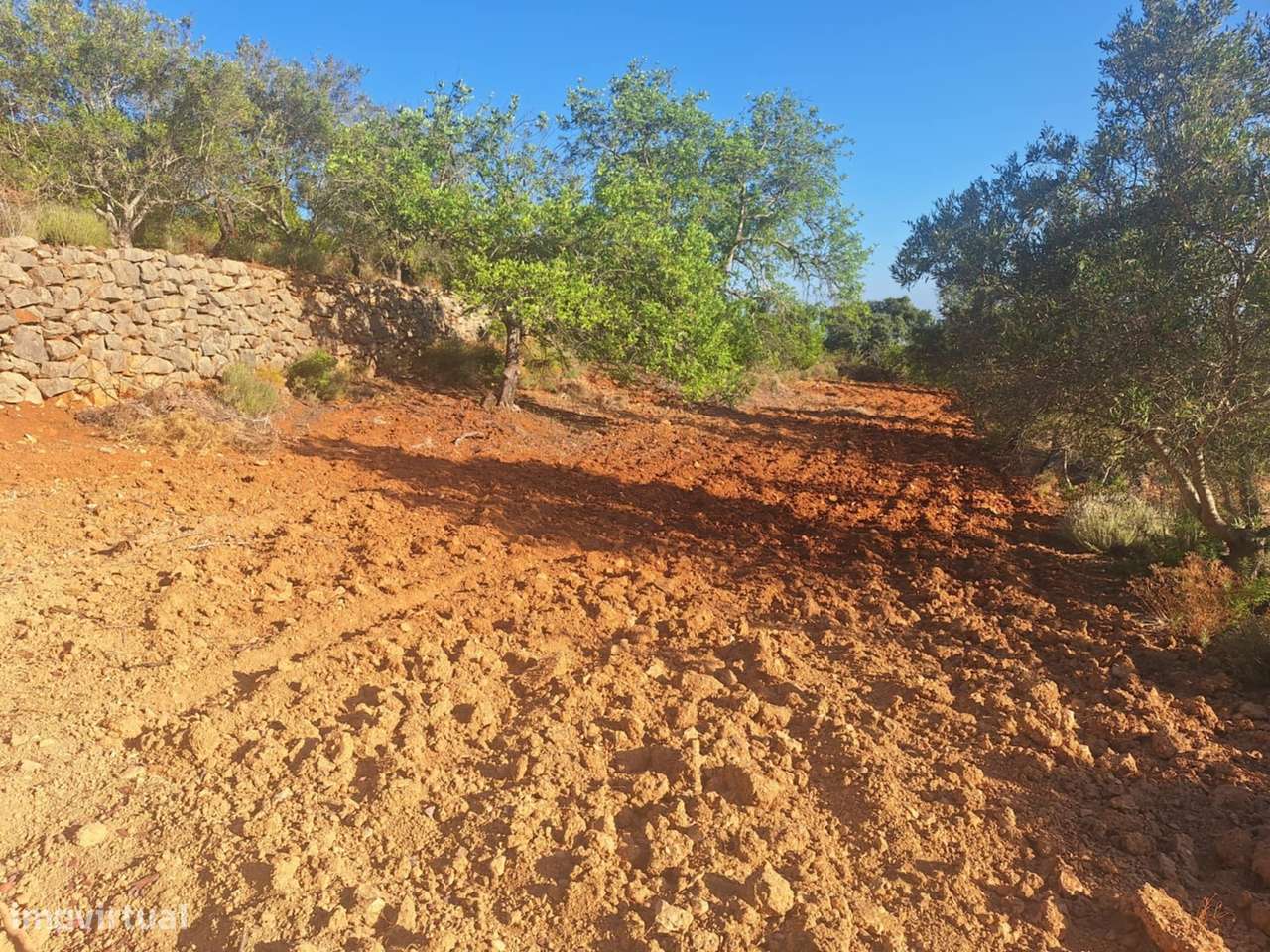 Terreno Rústico a 10km de Estoi-12