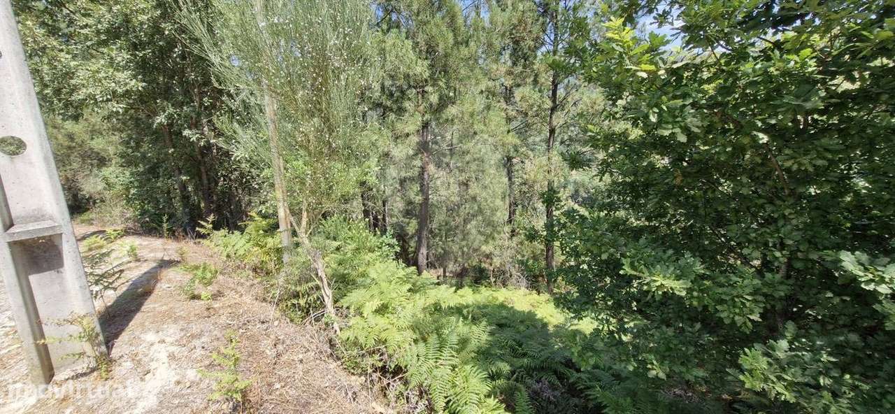 Terreno  para venda - Grande imagem: 3/26