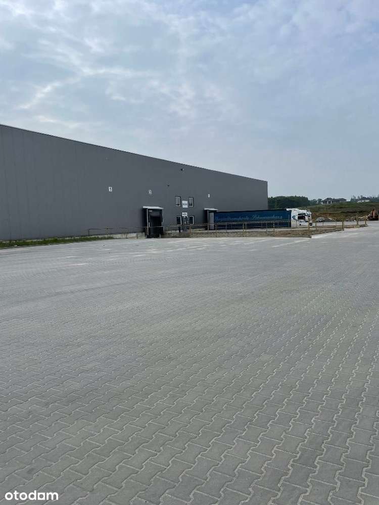 Hala magazynowo produkcyjna Bytom Odrzański - Pełny obrazek: 5/5