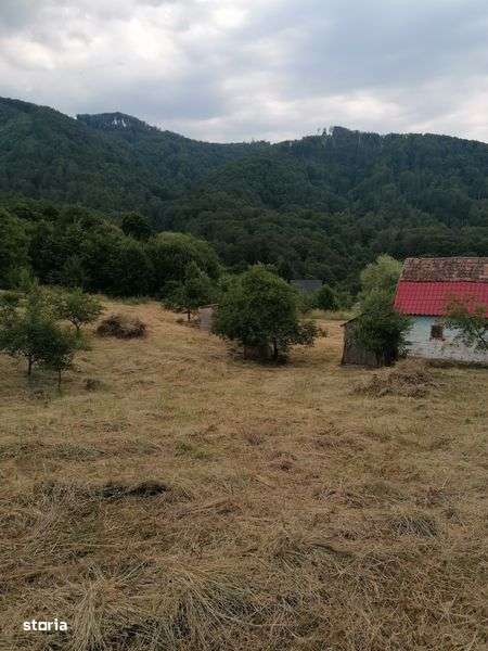 De vanzare teren intravilan 4500 mp,cu casa veche in Sovata - Imagine principală: 4/6