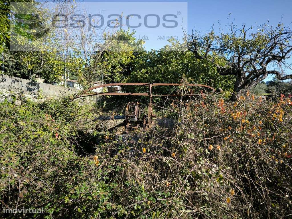 Horta da Serra - Palvarinho - Grande imagem: 5/8