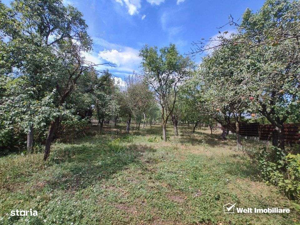 Casa veche, toate utilitatile, Pata, 5808 mp, tot intravilan, front 19 - Imagine principală: 2/12