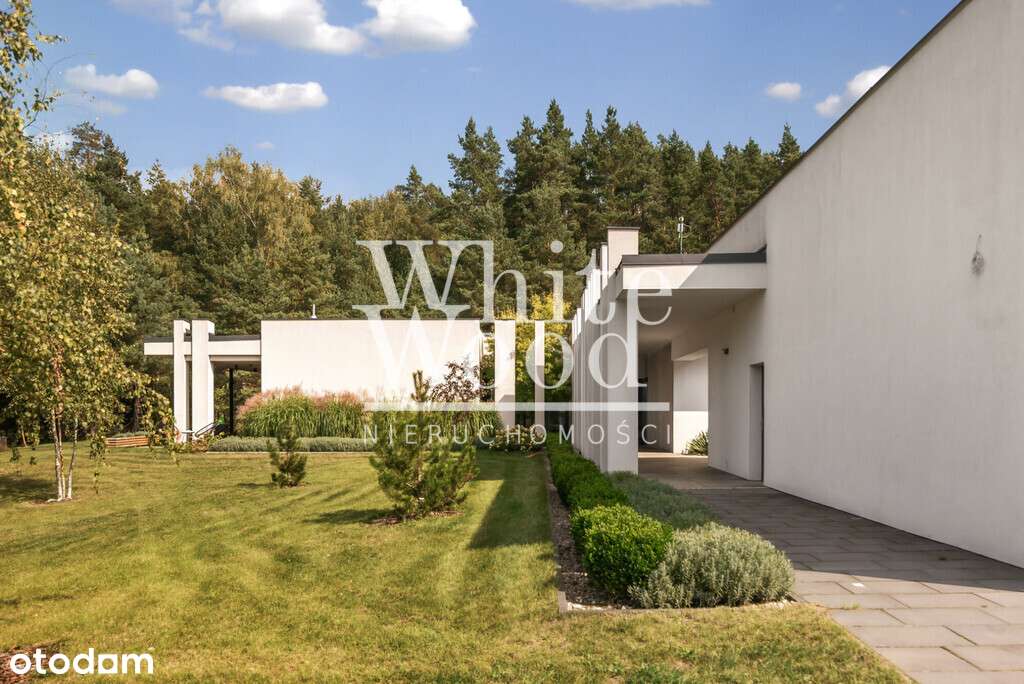 Parterowy dom z lasem sosnowym działka 9662m2 - Pełny obrazek: 5/20