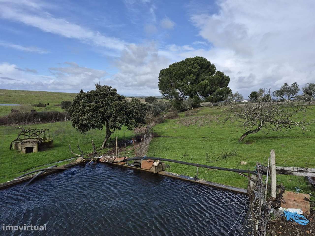 Quinta - Grande imagem: 2/9