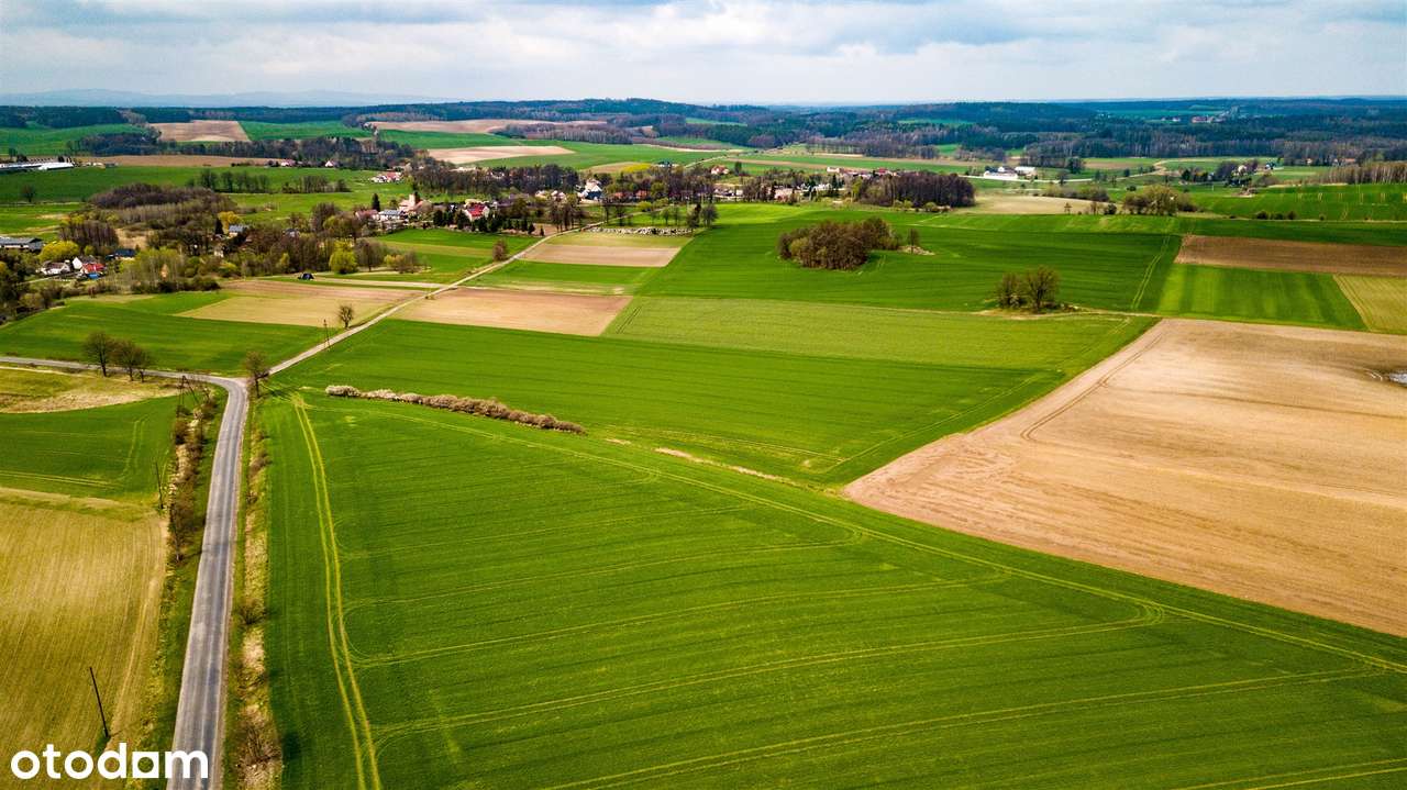3 HA zabudowa mieszkaniowa | Jaszów | NOWA CENA - Pełny obrazek: 3/10