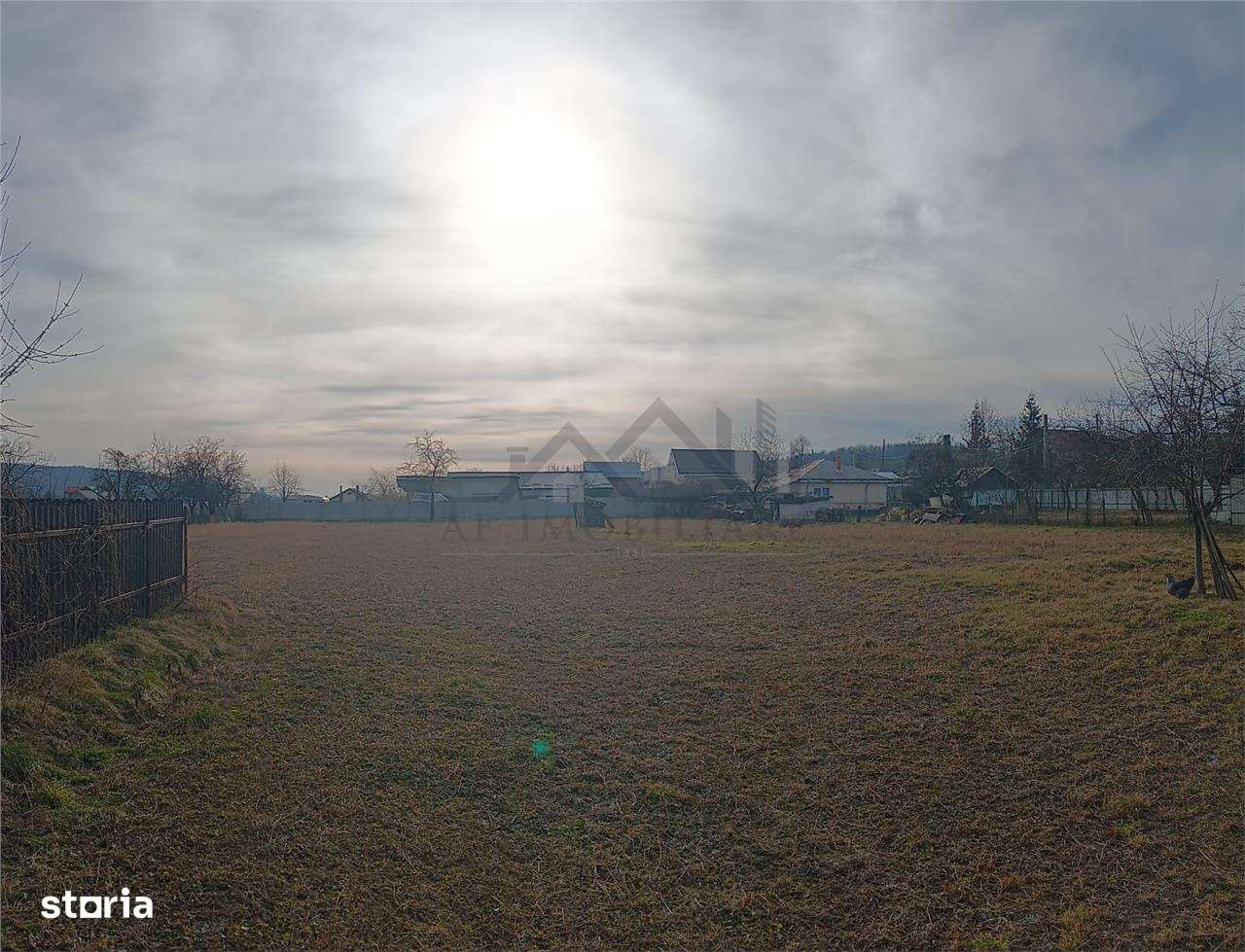 Teren 3500mp. Paun Bucium la asfalt cu toate utilitatile - Imagine principală: 5/7