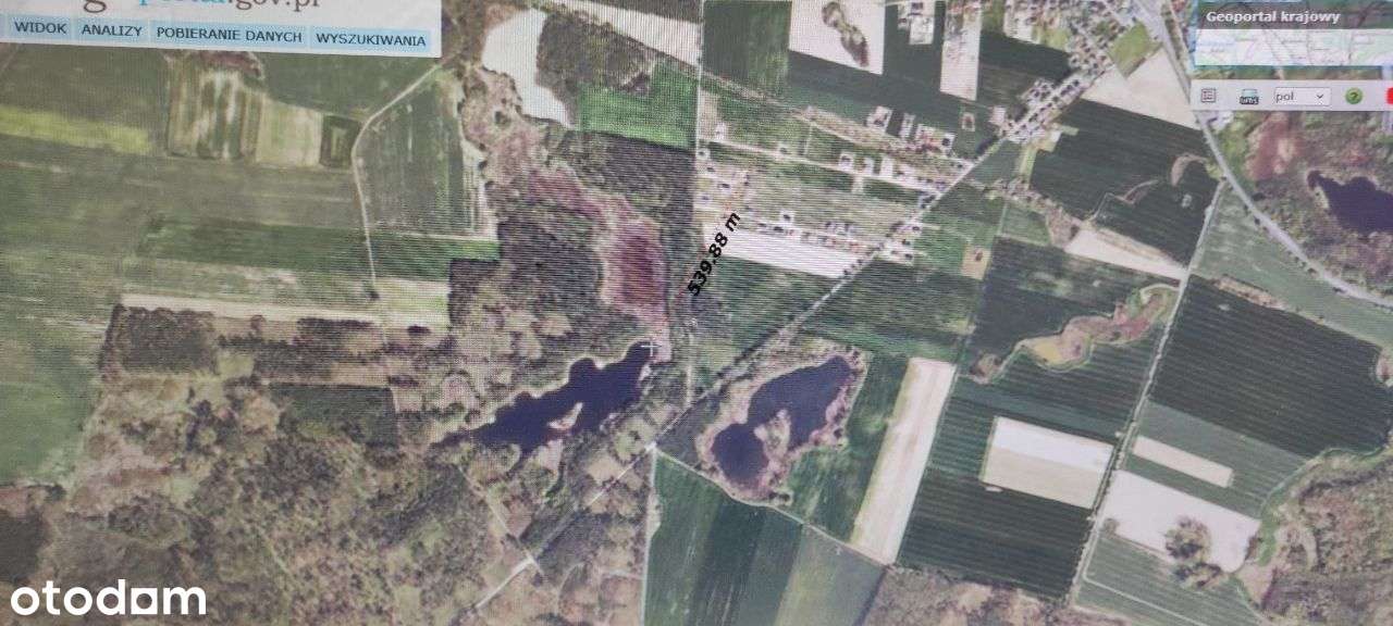 Piękna działka budowlana Lubosz / Pniewy  / Kwilcz - Pełny obrazek: 4/19