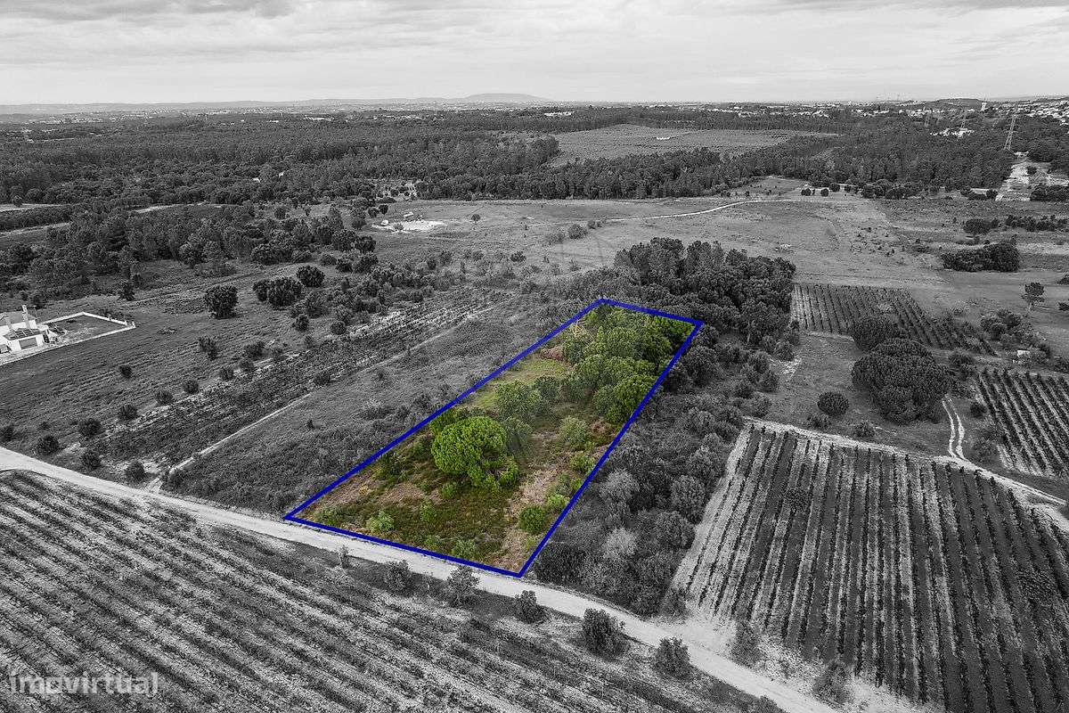 Terreno  para venda - Grande imagem: 3/16