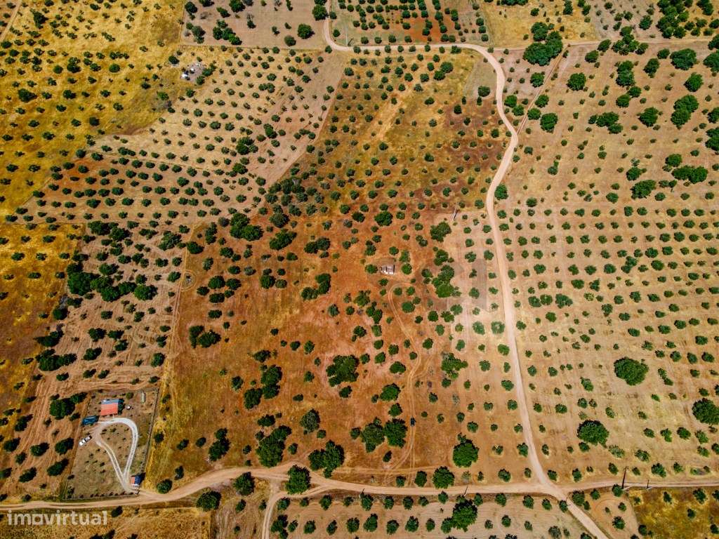 Quinta em Vila Nova de São Bento, com uma ruina para ser recuperada... - Grande imagem: 2/25
