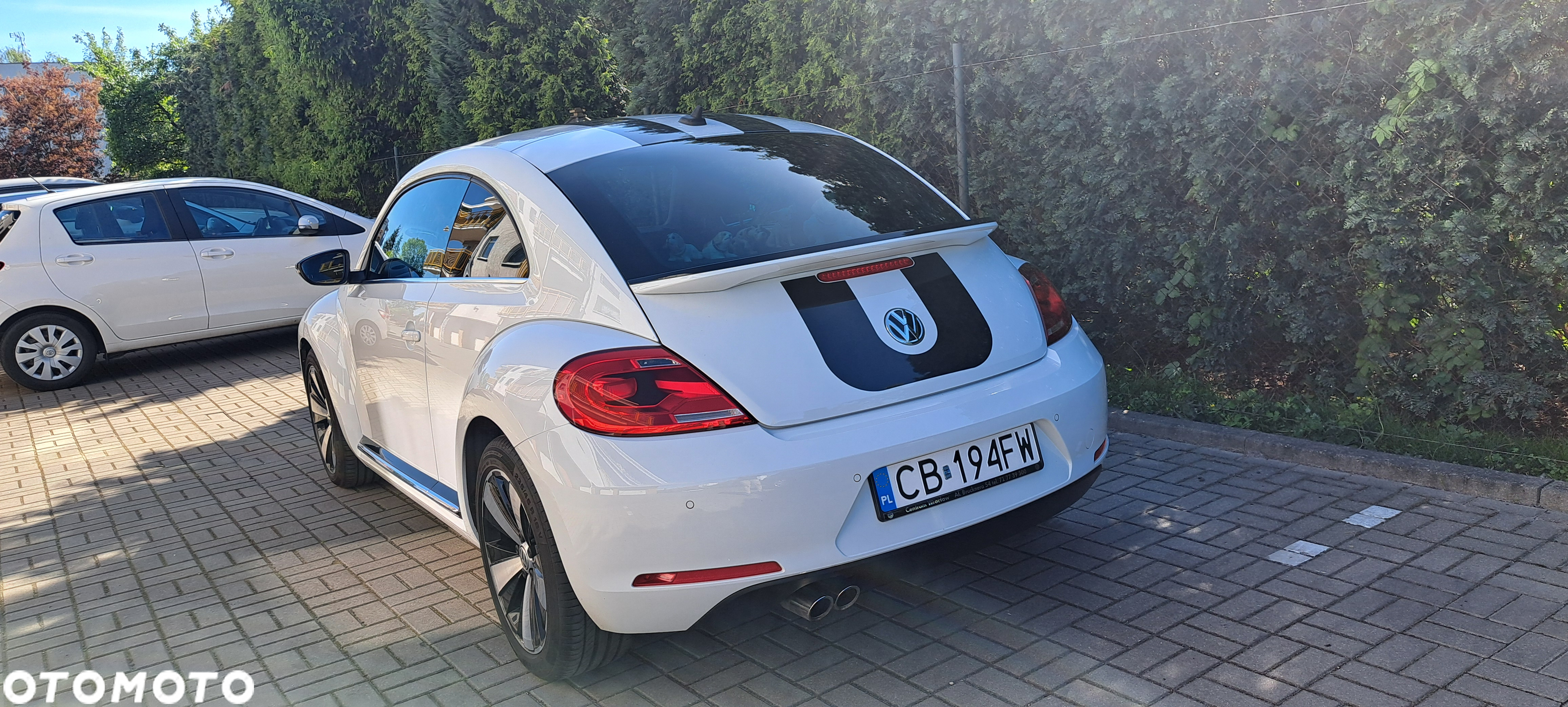 Volkswagen Beetle - 12