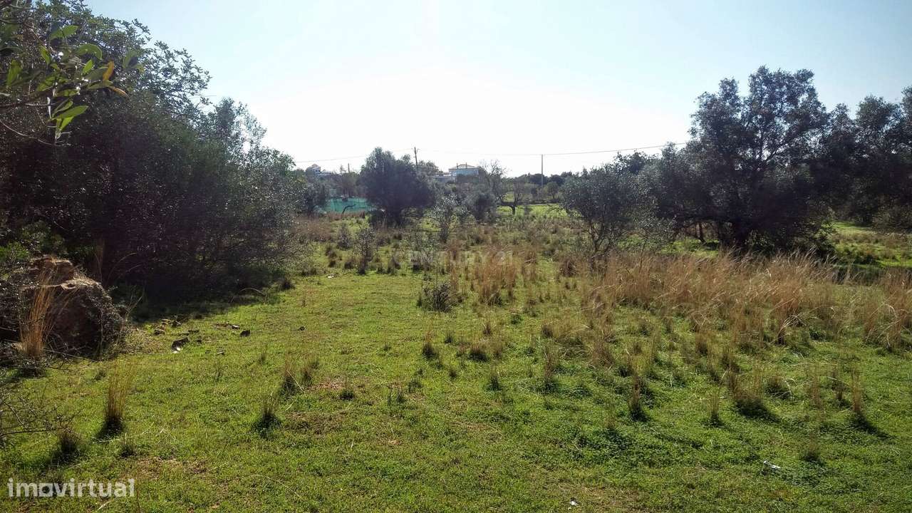 Terreno com Ruína em Moncarapacho - Grande imagem: 2/12