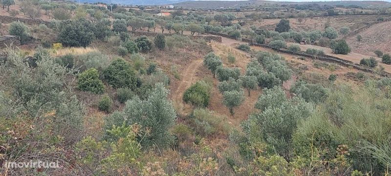 Terreno para construção de moradia junto ao Museu do Côa