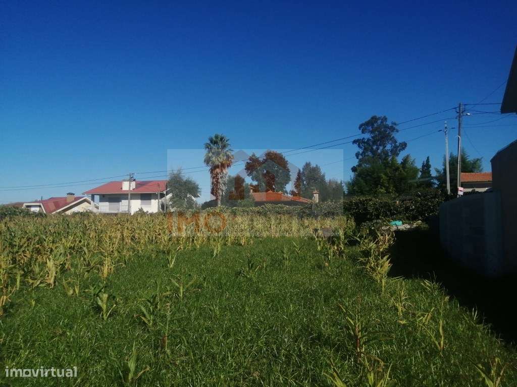 TERRENO P/ CONSTRUÇÃO - LOBÃO - Grande imagem: 5/5