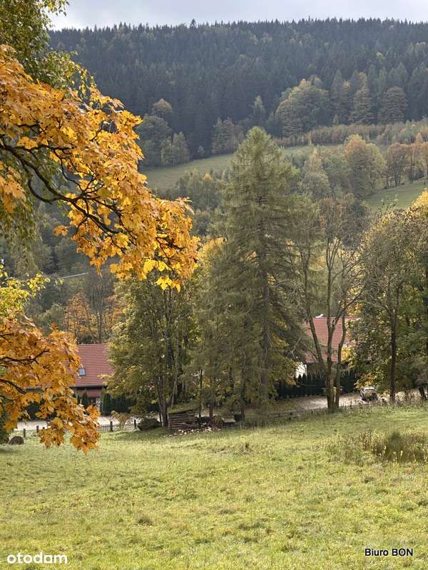 Niezwykła nieruchomość w górach - 20 km od Karpacza-19
