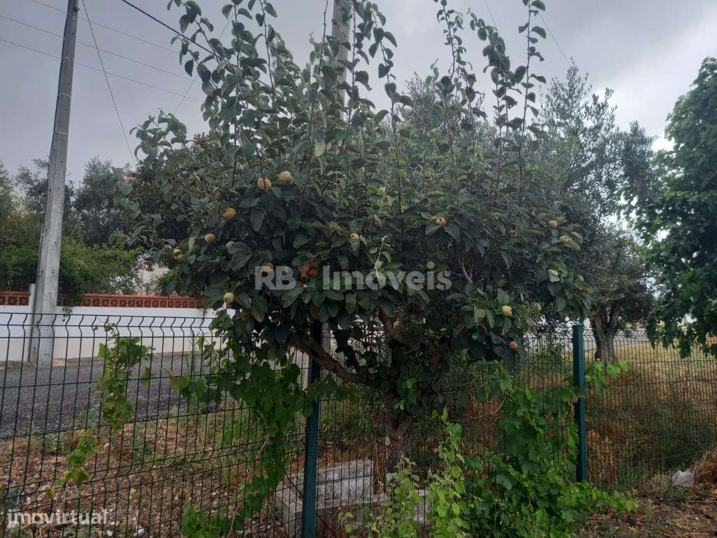 LOTE DE TERRENO - Grande imagem: 4/4