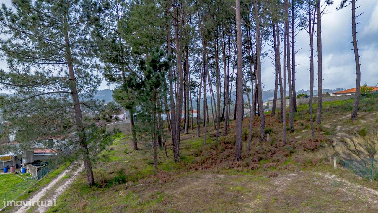 Terreno de Construção na rua Lamas de Couto, Fregim, Amarante-24